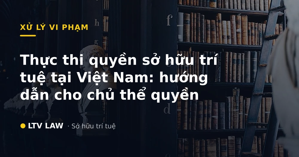 Thực thi quyền sở hữu trí tuệ tại Việt Nam: hướng dẫn cho chủ thể quyền